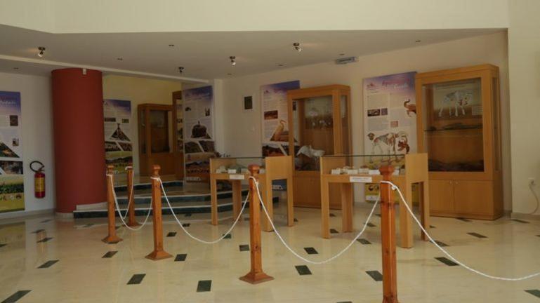 Tania Village Zakros Maisonette ภายนอก รูปภาพ
